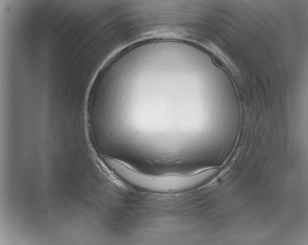 X0000074941240200609221656