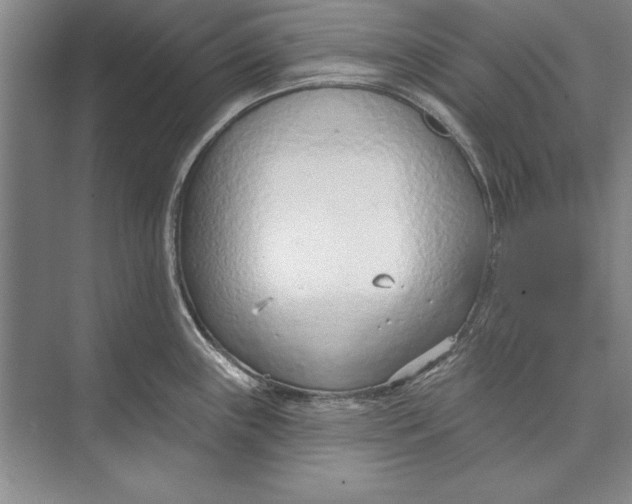 X0000074941243200609221657