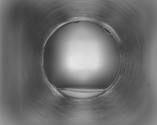 X0000074941244200609221657