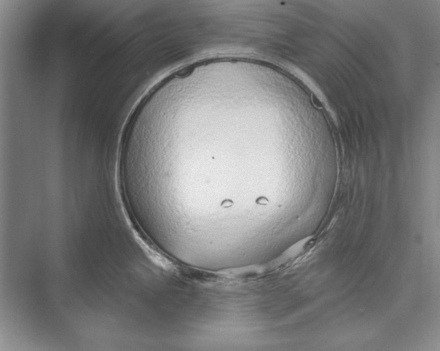 X0000074941245200609221657