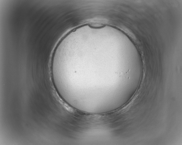 X0000074941248200609221657