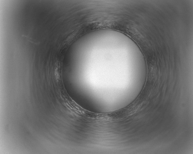 X0000074941250200609221656