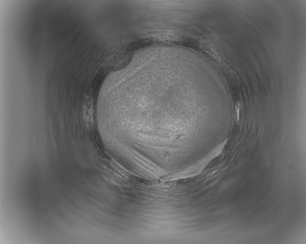 X0000074941251200609221656