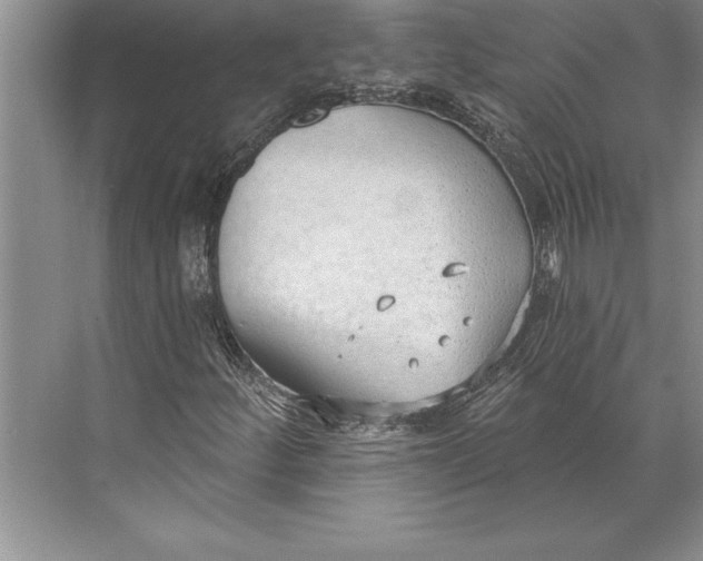 X0000074941252200609221656