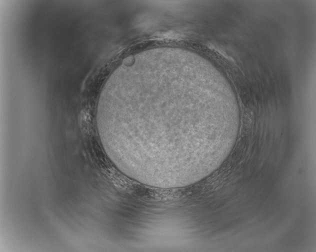 X0000074941254200609221656