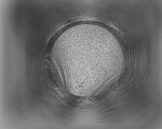 X0000074941255200609221656