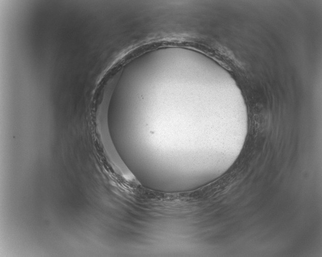 X0000074941256200609221656