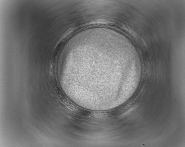 X0000074941258200609221656