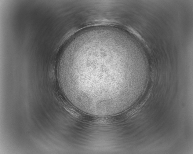 X0000074941259200609221656