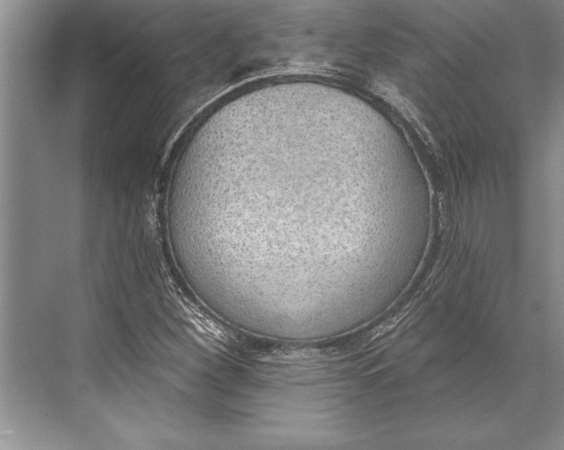 X0000074941260200609221656