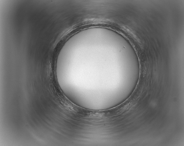 X0000074941261200609221656