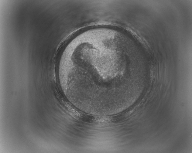 X0000074941262200609221656