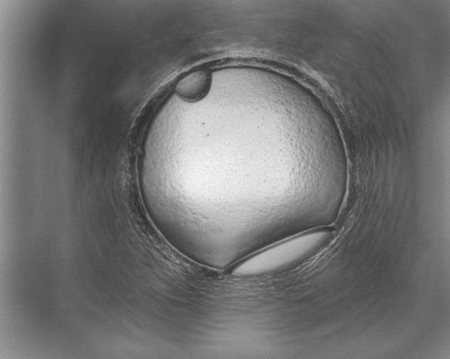 X0000074941263200609221656