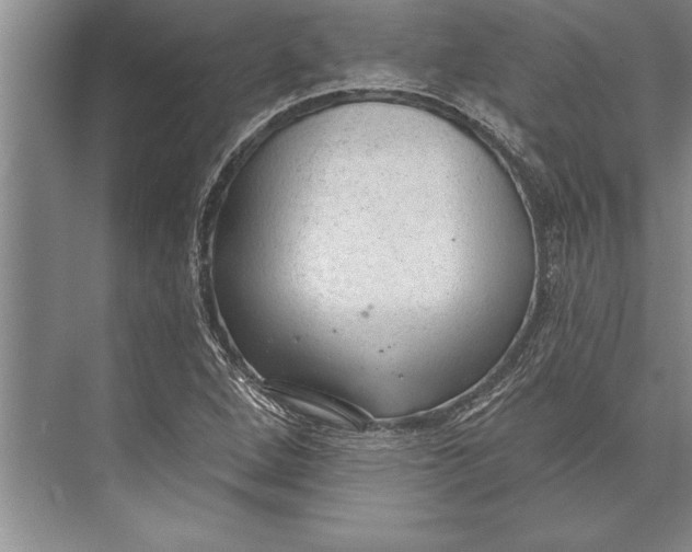 X0000074941264200609221656