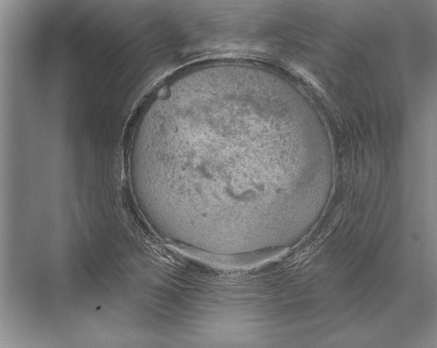 X0000074941267200609221655