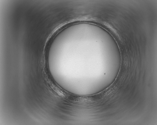 X0000074941270200609221655