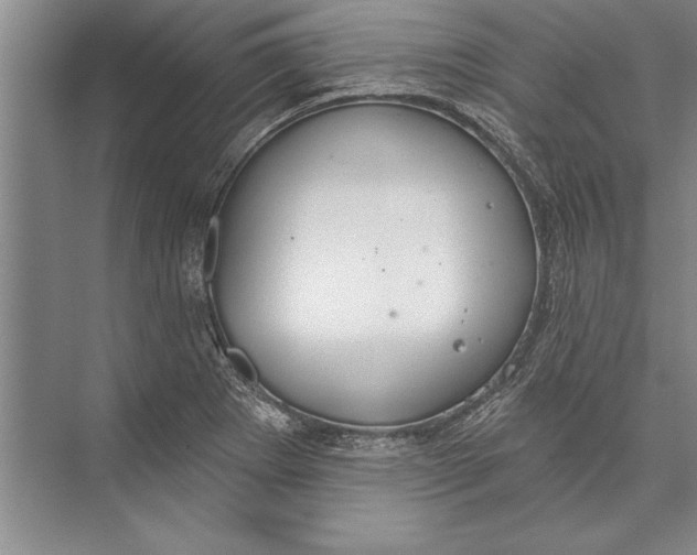 X0000074941273200609221655