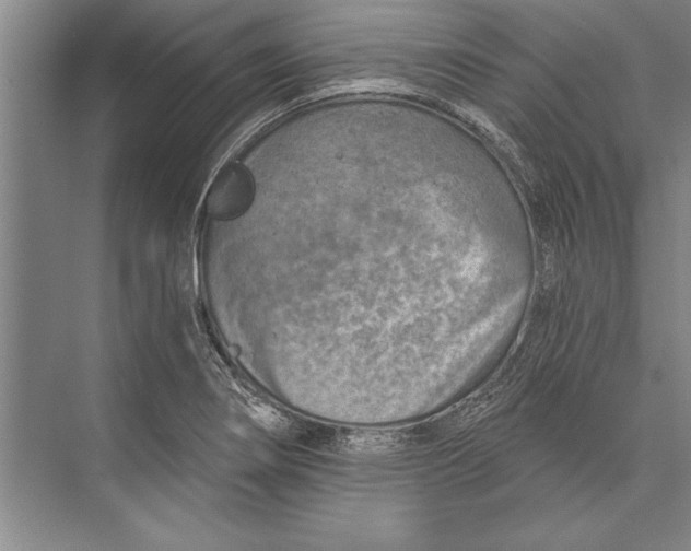 X0000074941274200609221655