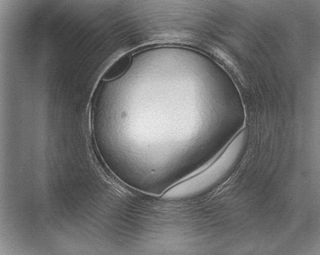 X0000074941275200609221655