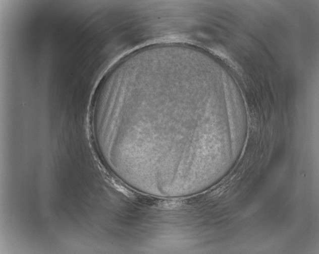 X0000074941278200609221655