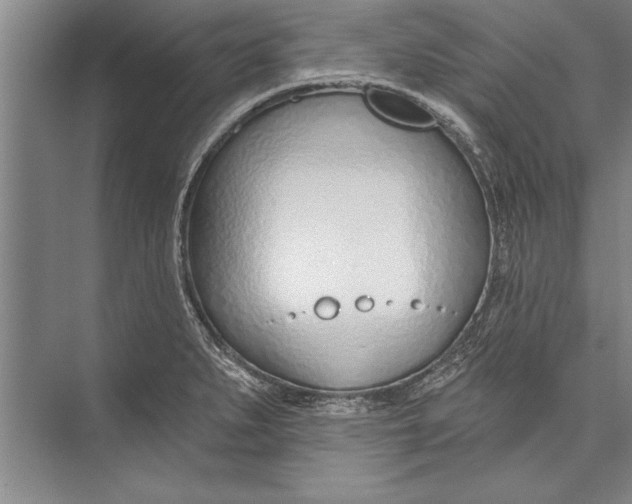 X0000074941279200609221655