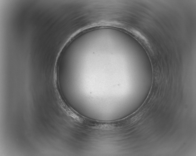 X0000074941280200609221655