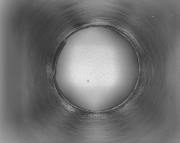 X0000074941281200609221655