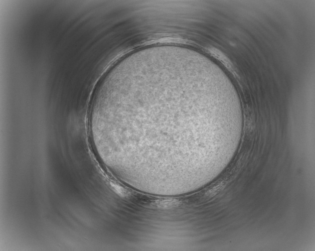 X0000074941282200609221655