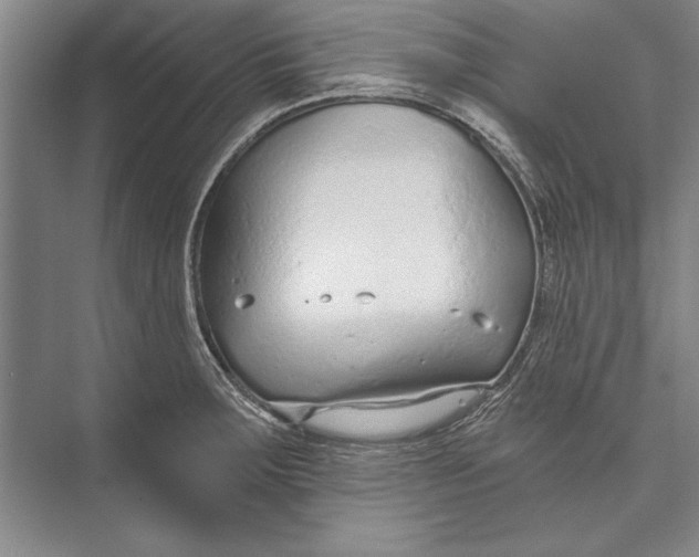 X0000074941283200609221655