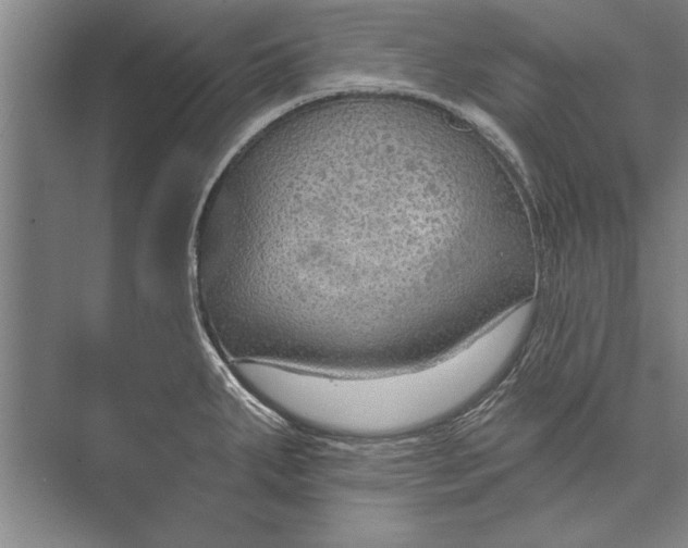 X0000074941287200609221655