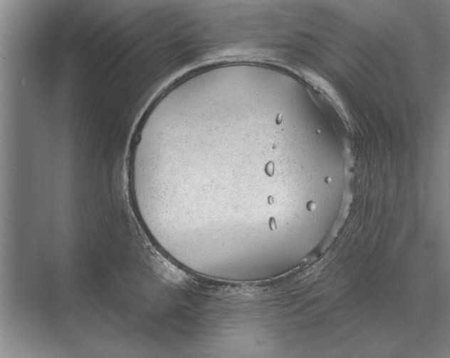 X0000074941288200609221655