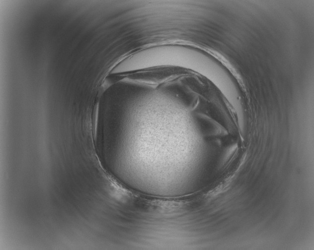 X0000074941289200609221655