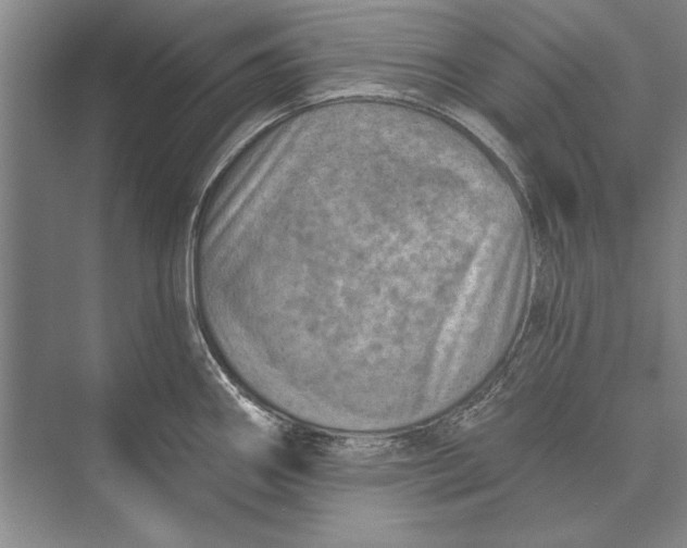 X0000074941290200609221655