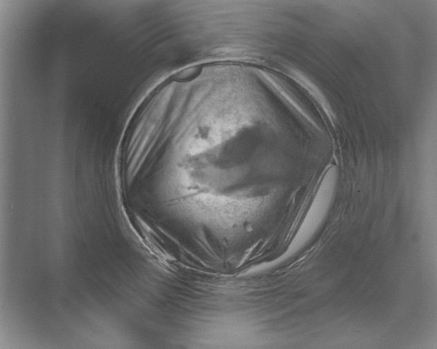 X0000074941291200609221655