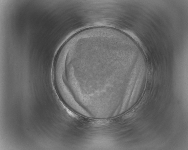 X0000074941294200609221655