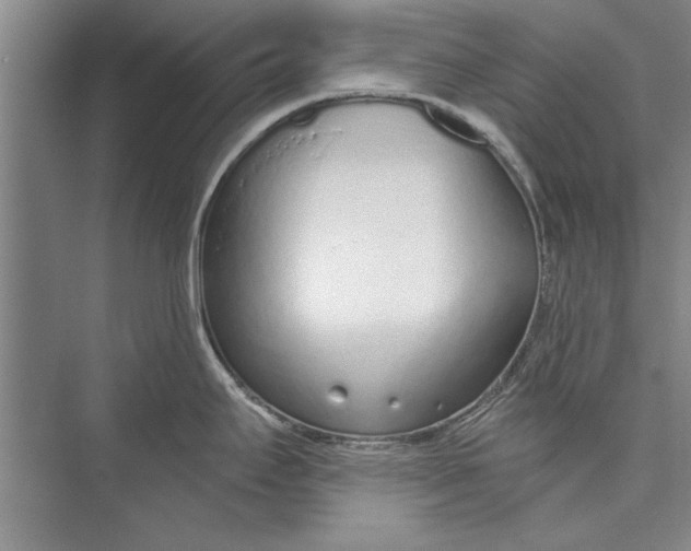 X0000074941295200609221655