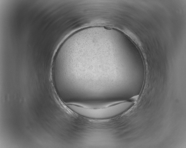 X0000074941296200609221655