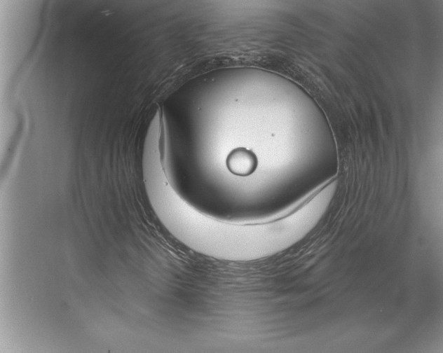 X0000074941298200609221654