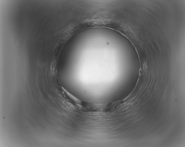 X0000074941300200609221654