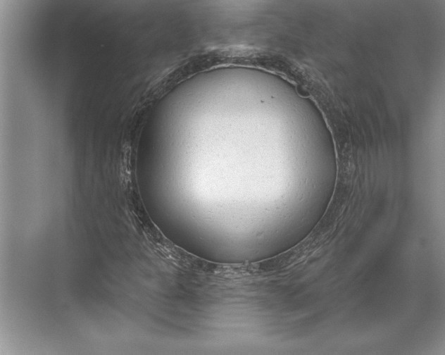 X0000074941301200609221654