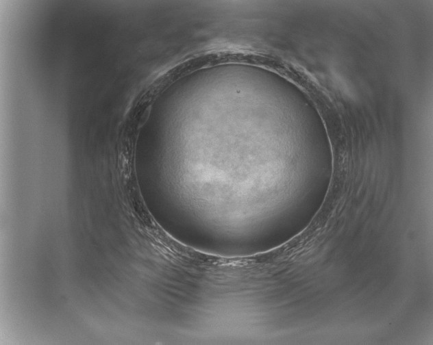 X0000074941303200609221654