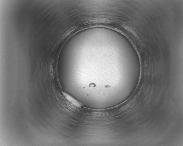 X0000074941305200609221654