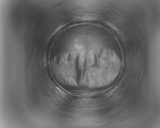 X0000074941306200609221654