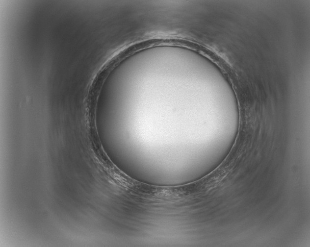 X0000074941311200609221654