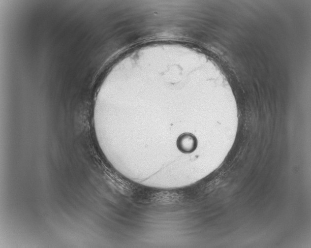 X0000074941314200609221654