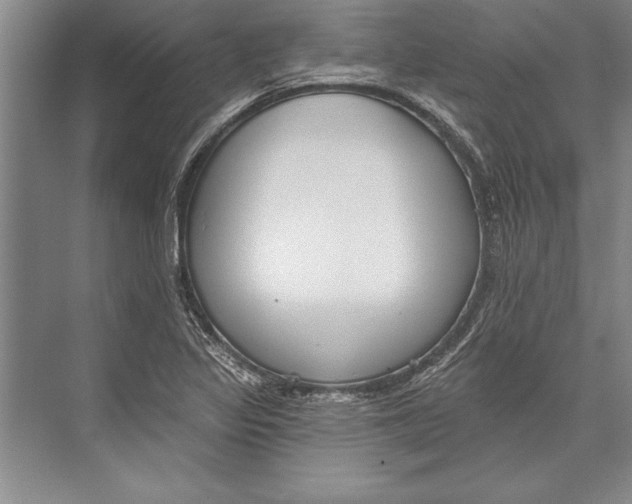 X0000074941317200609221655