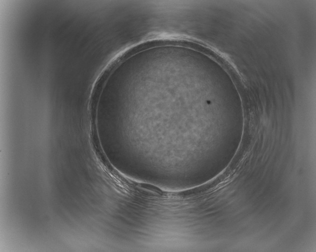 X0000074941319200609221655