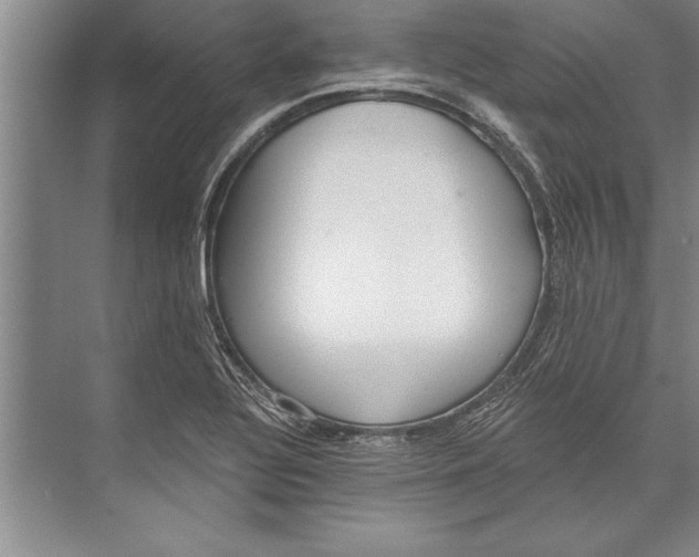 X0000074941320200609221655