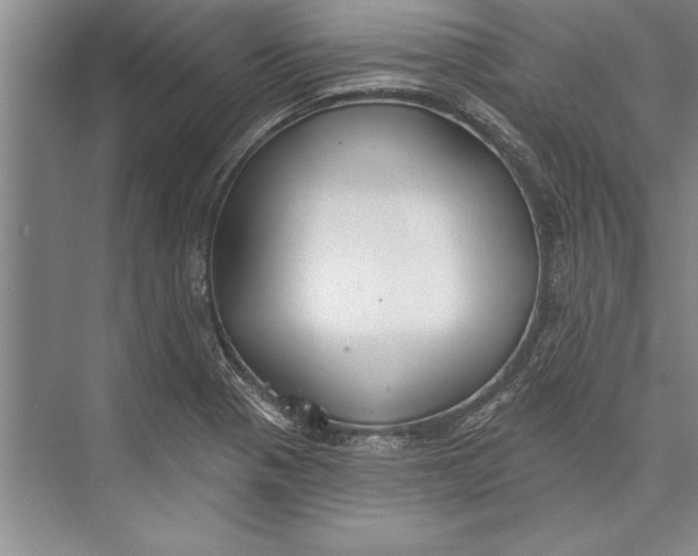 X0000074941321200609221655