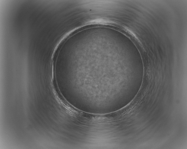 X0000074941323200609221655